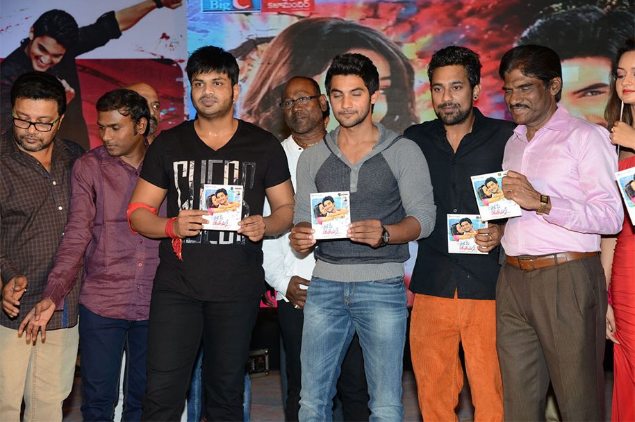 Pyaar-Mein-Padipoyane-Audio-Launch